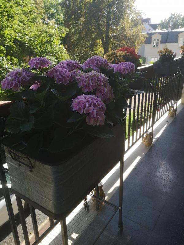 Boîte de rangement Orval sur roulettes