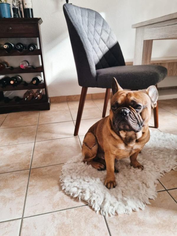 Le bois de hêtre massif se marie si bien avec le style rustique et les détails en bois de notre appartement.