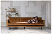 Miniaturansicht 3-Sitzer Sofa Samt Honiggelb Rodeo 3