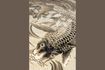 Miniatura Alfombra de polipropileno termofijado gris koi 160x230 2
