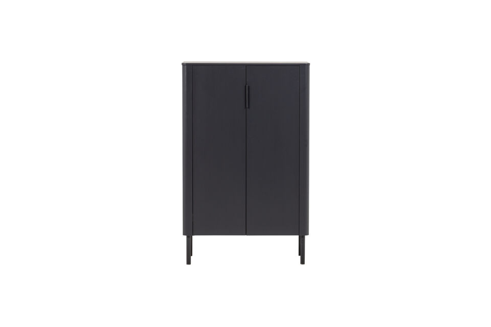 Armoire moderne à 2 portes au design intemporel Fabriquée en bois de pin certifié FSC Mix
