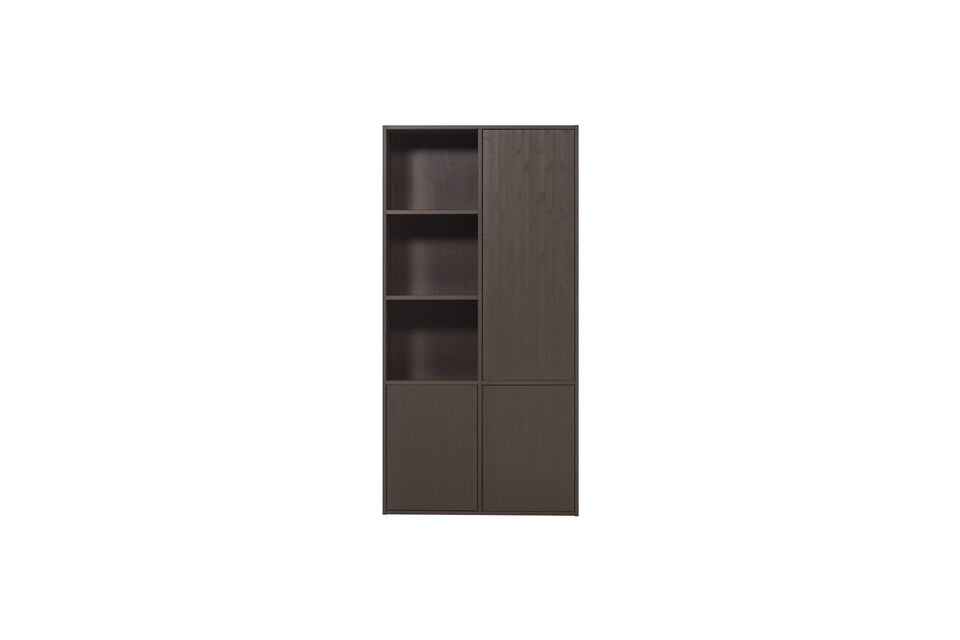 Cette armoire élégante offre une solution de rangement à la fois pratique et décorative