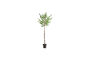 Miniature Artificial plant 235 cm green HDHornbeam Clipped