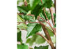 Miniature Artificial plant 235 cm green HDHornbeam 3