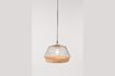 Miniature Birdy large Suspension 9
