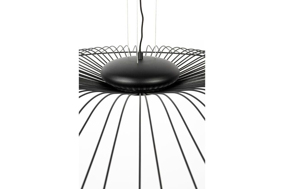 This makes the luminaire not only an objet d\'art