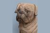Miniature Brown resin dog figurine Pug 6
