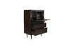 Miniature Cabinet Elroy 8
