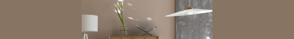 Material Details Cabinet Raster