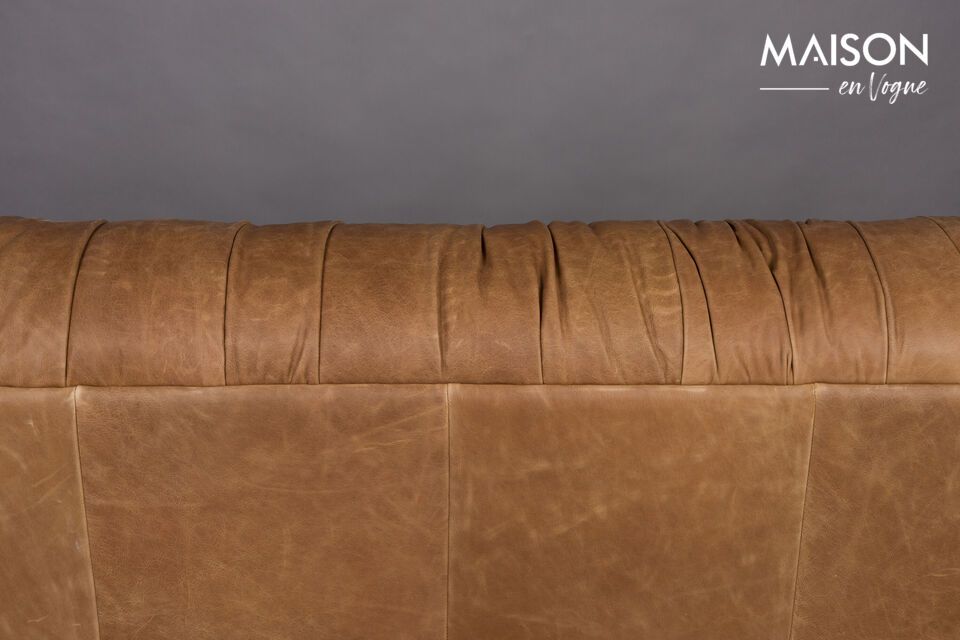 Sa couleur marron clair