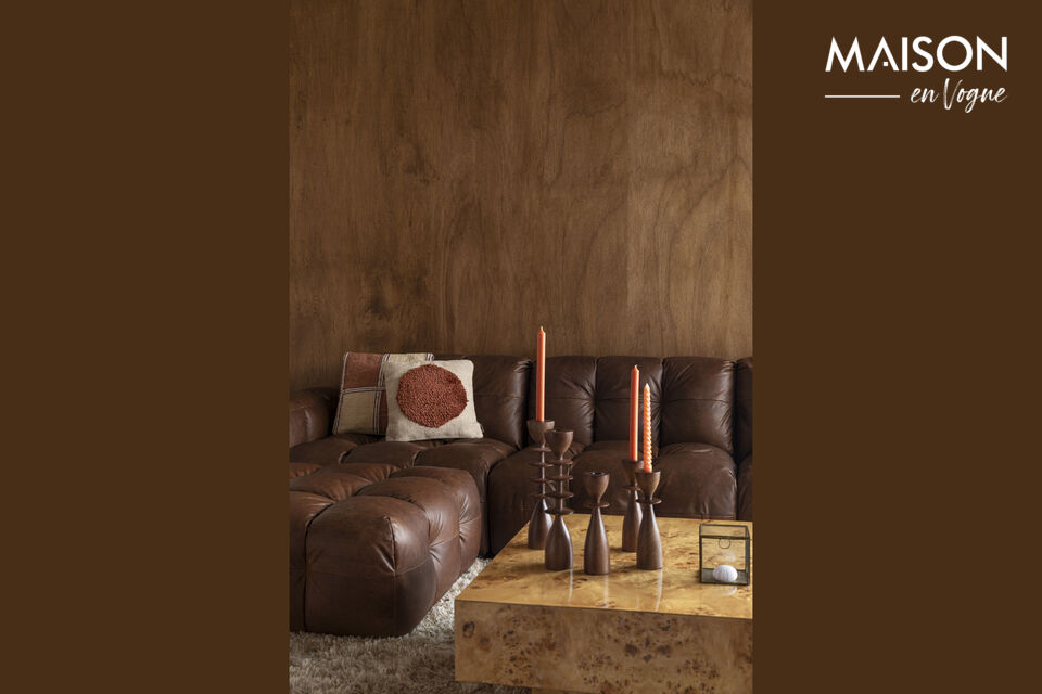 Peu importe que vous disposiez d\'un coin salon intime et chaleureux ou d\'un grand salon : le