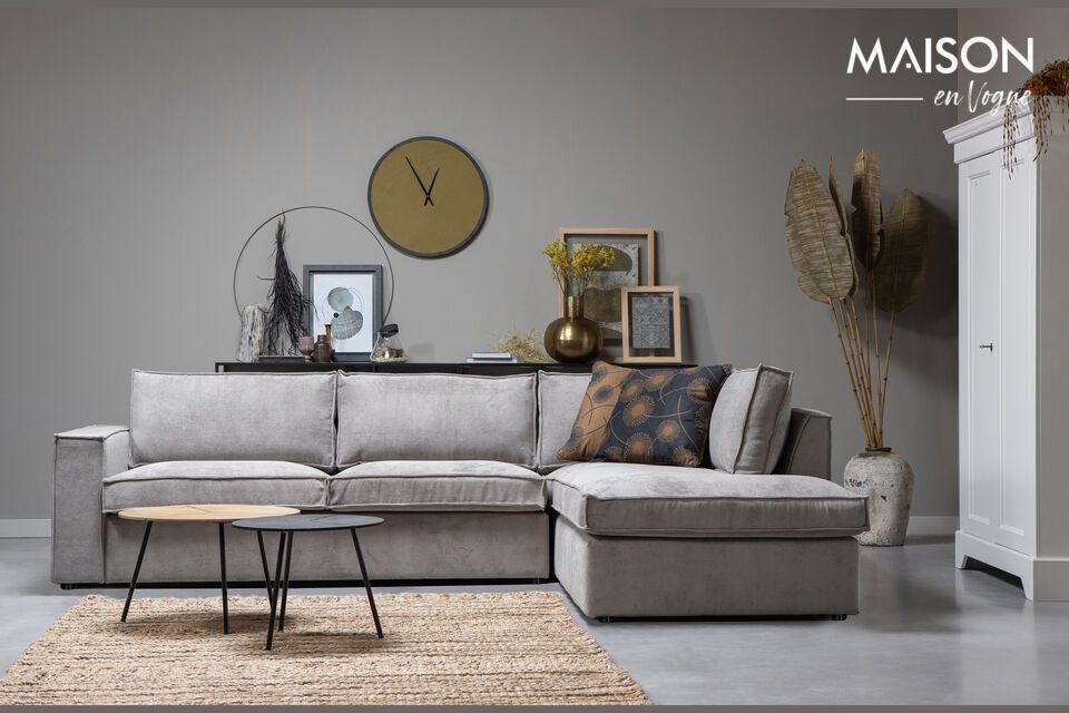 Détendez-vous avec style grâce à cet canapé confortable et durable