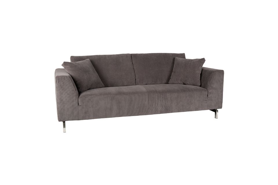 Pour optimiser votre confort, ce canapé est fourni avec deux coussins d\'appoint
