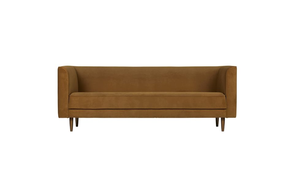 Canelle velvet 3 seater sofa Studio Vtwonen