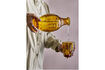 Miniature Carafe et verre (Set de 2) en verre jaune Theon 2