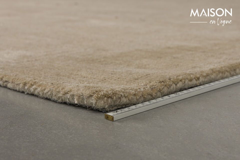 Furthermore, the rug features a subtle yet intriguing pattern