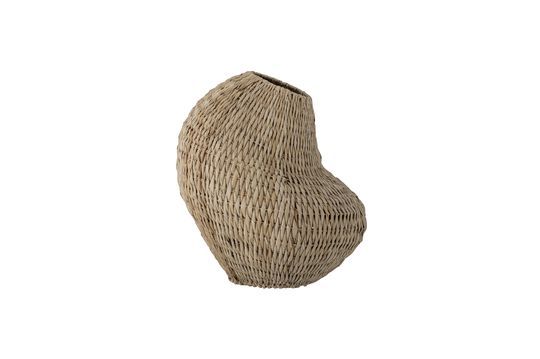 Cesta Levis Clipped
