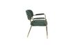Miniature Chaise lounge Jolien à accoudoirs or et vert Foncé 8