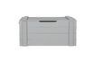 Miniature Coffre de rangement en bois gris clair Dennis 1