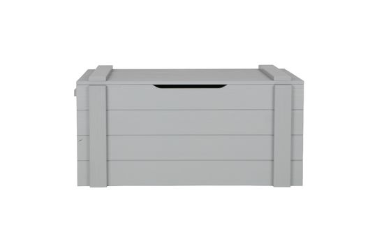 Coffre de rangement en bois gris clair Dennis