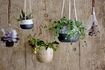 Miniatura Colgador de flores Alex 1