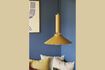 Miniature Coney mustard aluminum suspension 1