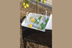 Miniature Cooler Be Cool Black 5