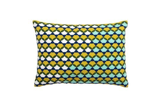 Coussin Coulx vert Détouré