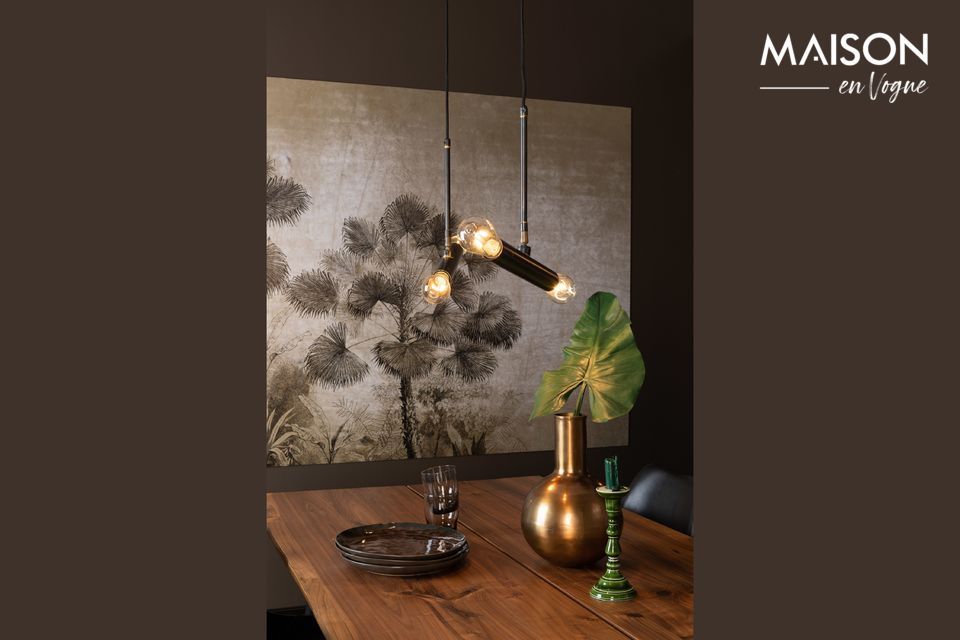 If you like industrial style, and especially if your home is a loft, this hanging lamp is for you