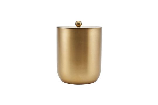 Eiseimer aus Edelstahl gold Alir
