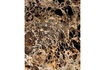 Miniatura Escobilla de baño 36 cm Mármol Marrón HDAble 3