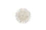 Miniatura Estrella de Navidad 40 cm de papel blanco HDLayer Clipped