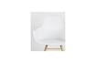 Miniature Fauteuil Albert Kuip Blanc 9