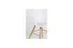 Miniature Fauteuil Albert Kuip Blanc 10