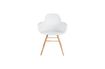 Miniature Fauteuil Albert Kuip Blanc 11