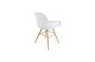 Miniature Fauteuil Albert Kuip Blanc 13