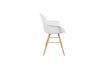 Miniature Fauteuil Albert Kuip Blanc 14