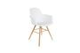 Miniature Fauteuil Albert Kuip Blanc Détouré