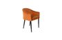 Miniature Fauteuil Catelyn Orange Détouré