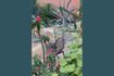 Miniature Fauteuil de jardin Albert Kuip noir 4