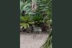 Miniature Fauteuil de jardin Albert Kuip vert 4