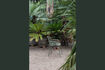Miniature Fauteuil de jardin en aluminium vert Albert Kuip Garden 5
