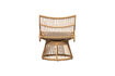 Miniature Fauteuil de jardin en osier synthétique naturel Alatna 6