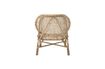 Miniature Fauteuil en rotin Rosen 8