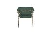 Miniature Fauteuil Jolien à accoudoirs or et vert Foncé 10