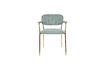 Miniature Fauteuil Jolien Or et vert clair 8