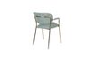 Miniature Fauteuil Jolien Or et vert clair 10