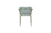 Miniature Fauteuil Jolien Or et vert clair 11