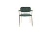 Miniature Fauteuil Jolien or et vert foncé 1