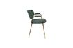 Miniature Fauteuil Jolien or et vert foncé 8